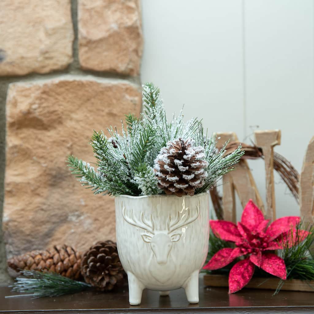 Xmas Mix in 4.5" Staghead Ceramic Footed Pot
