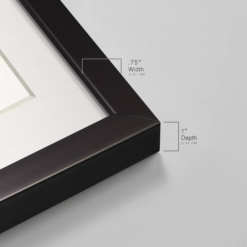 Feather Fancy II-Premium Gallery Framed Print - Ready to Hang