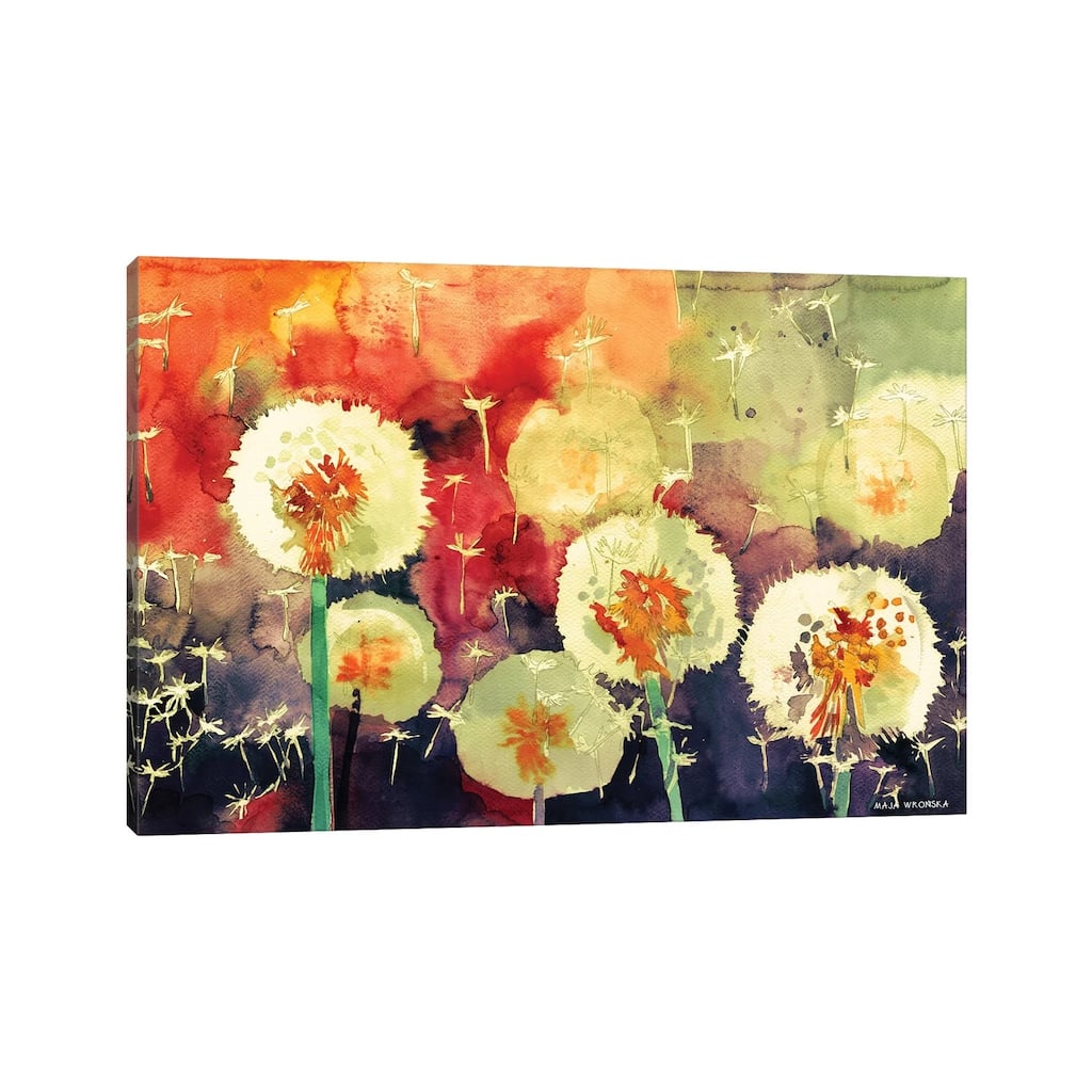 iCanvas "Dandelions" by Maja Wronska Canvas Print