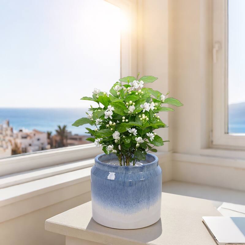 Elegant Ombre Glaze Non-Porous Ceramic Planters Pot for Aquatic Plants