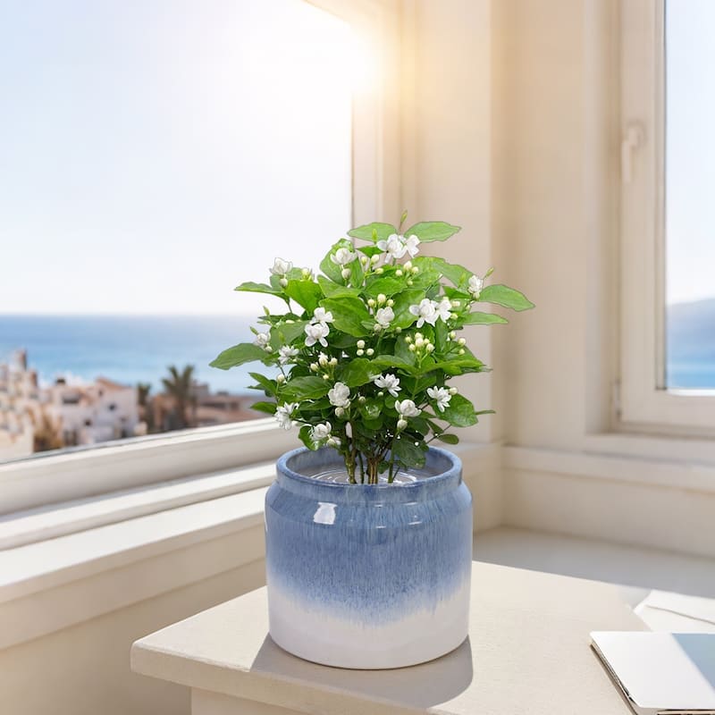 Set of 2 Gradient Ceramic Flowerpot White Blue