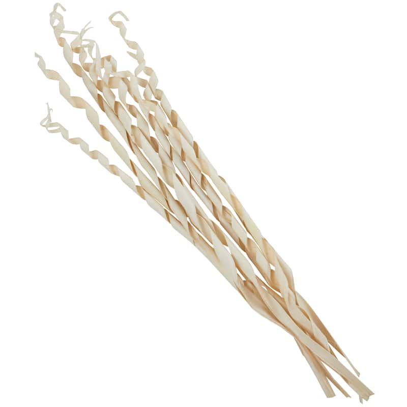 Palm Leaf Palm Leaf Tall Rolled Natural Foliage - Cream - Roche River Decor - 3"W x 8"L x 45"H