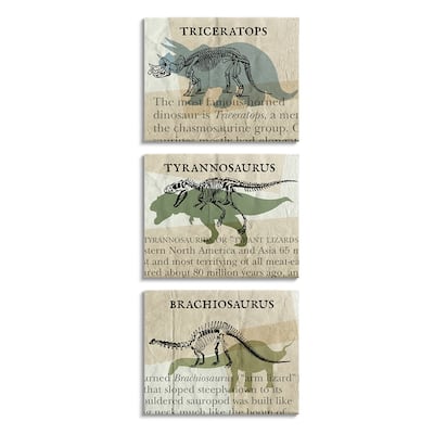 Stupell Textbook Style Dinosaur Skeletons Informational Text 3 Piece Canvas Wall Art Set Design By Daphne Polselli