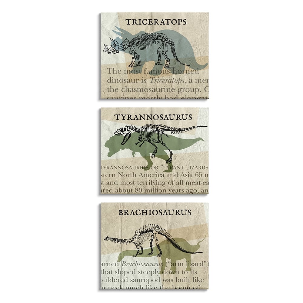 Stupell Textbook Style Dinosaur Skeletons Informational Text 3 Piece Canvas Wall Art Set Design By Daphne Polselli