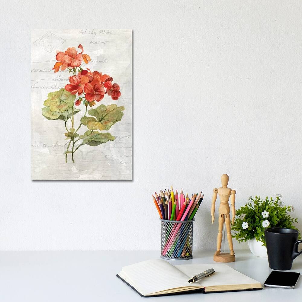 iCanvas "Linen Geranium" by Carol Robinson Canvas Print