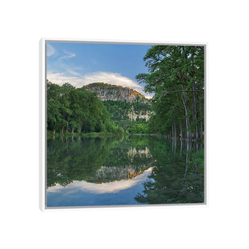 iCanvas "Bald Cypress Trees, Frio River, Old Baldy Mountain, Garner State Park, Texas" by Tim Fitzharris Framed Canvas Print - White - 18x18