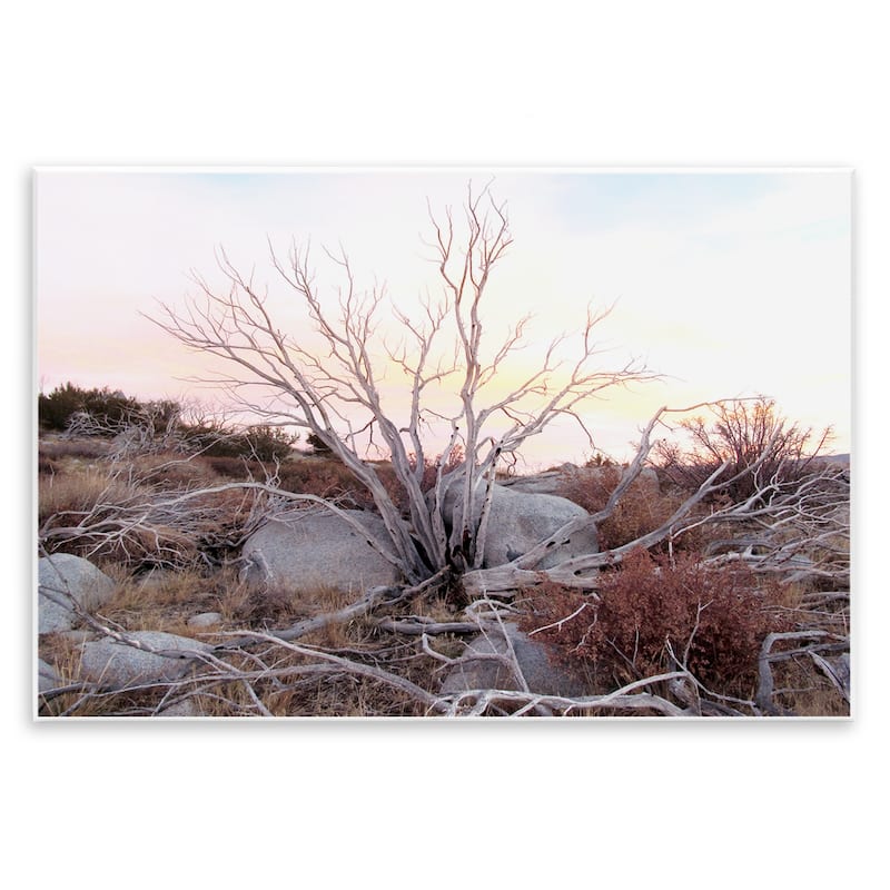 Stupell Rocky Foothills Terrain Wall Plaque Art Design By Gemma Bardot - 19 x 13
