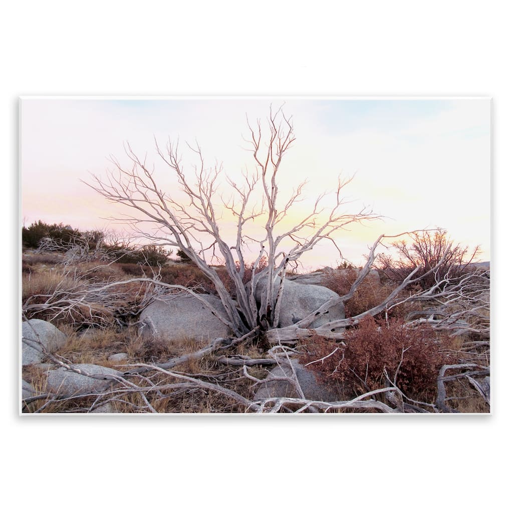 Stupell Rocky Foothills Terrain Wall Plaque Art Design By Gemma Bardot
