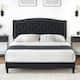 Option Black