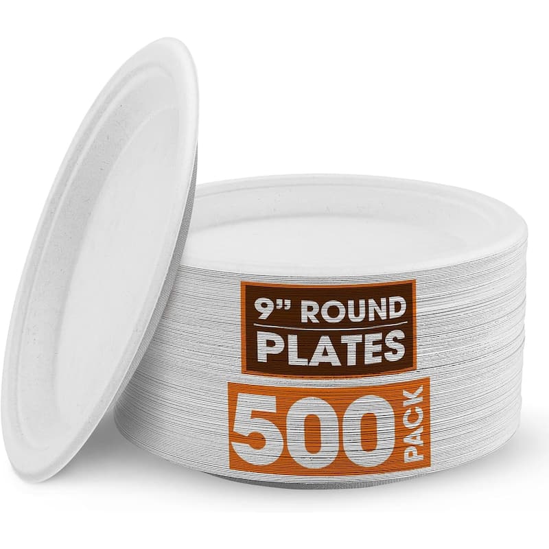Cheer Collection 9 inch Disposable Plastic Plates - 500 Pack - White