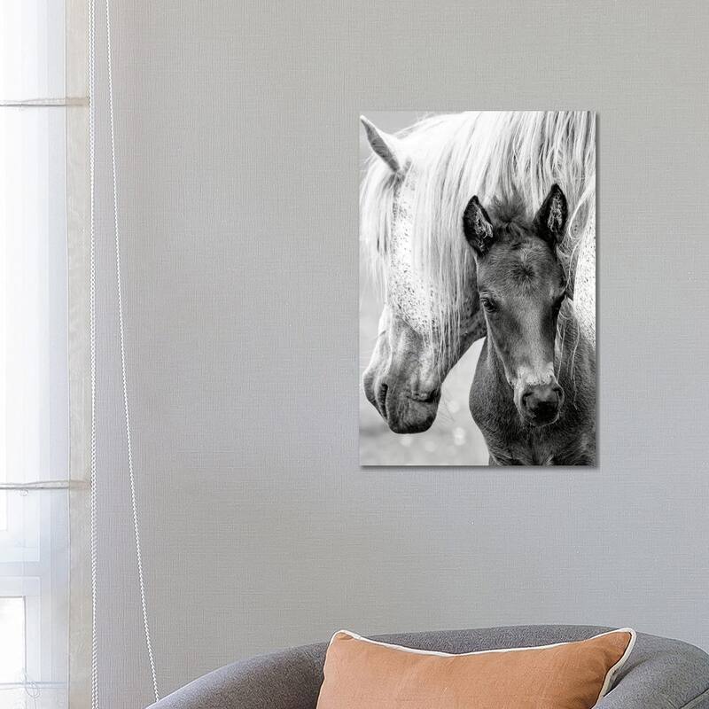 iCanvas "The Foal" by Jacky Parker Canvas Print - 26x18x1.5
