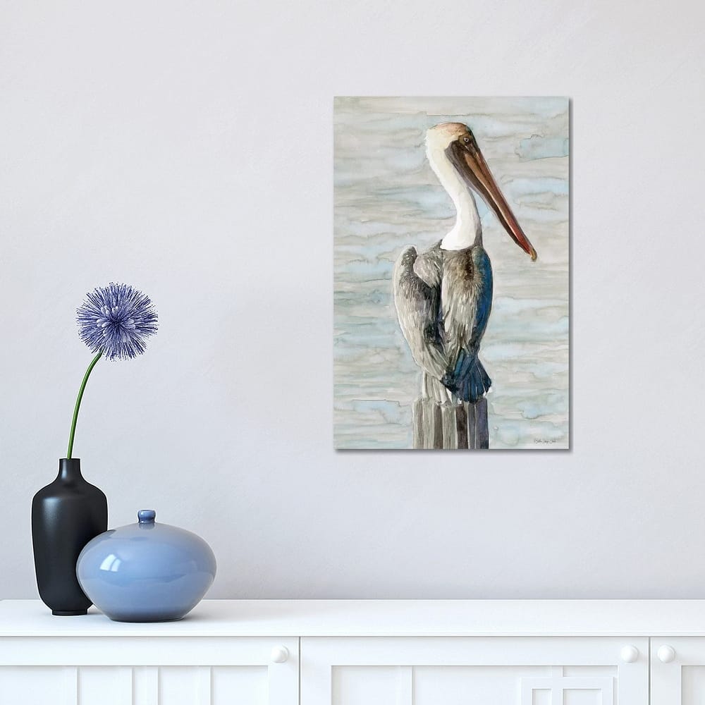 iCanvas "Brown Pelican I" by Stellar Design Studio Canvas Print