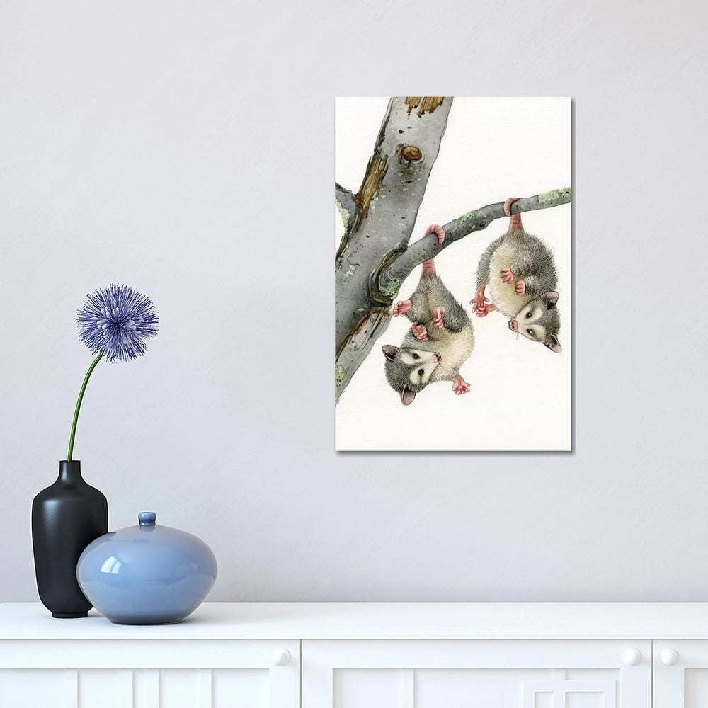 iCanvas "Playful Possums" by Tracy Lizotte Canvas Print