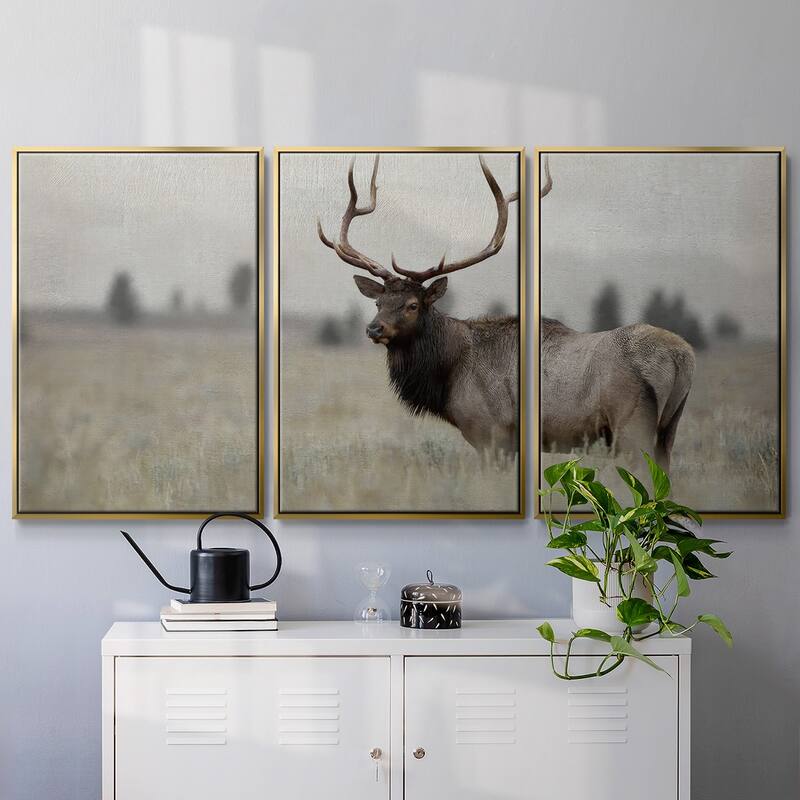 Grand Elk - Multi Piece Framed Canvas