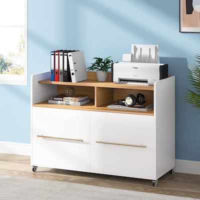 2 Drawer File Cabinet Rolling Filing Cabinets for Home Office