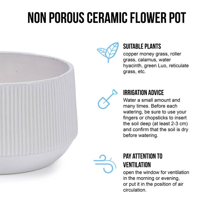 Set 2 Non-Porous Matte White Ribbed Ceramic Planter for Aquatic Plants