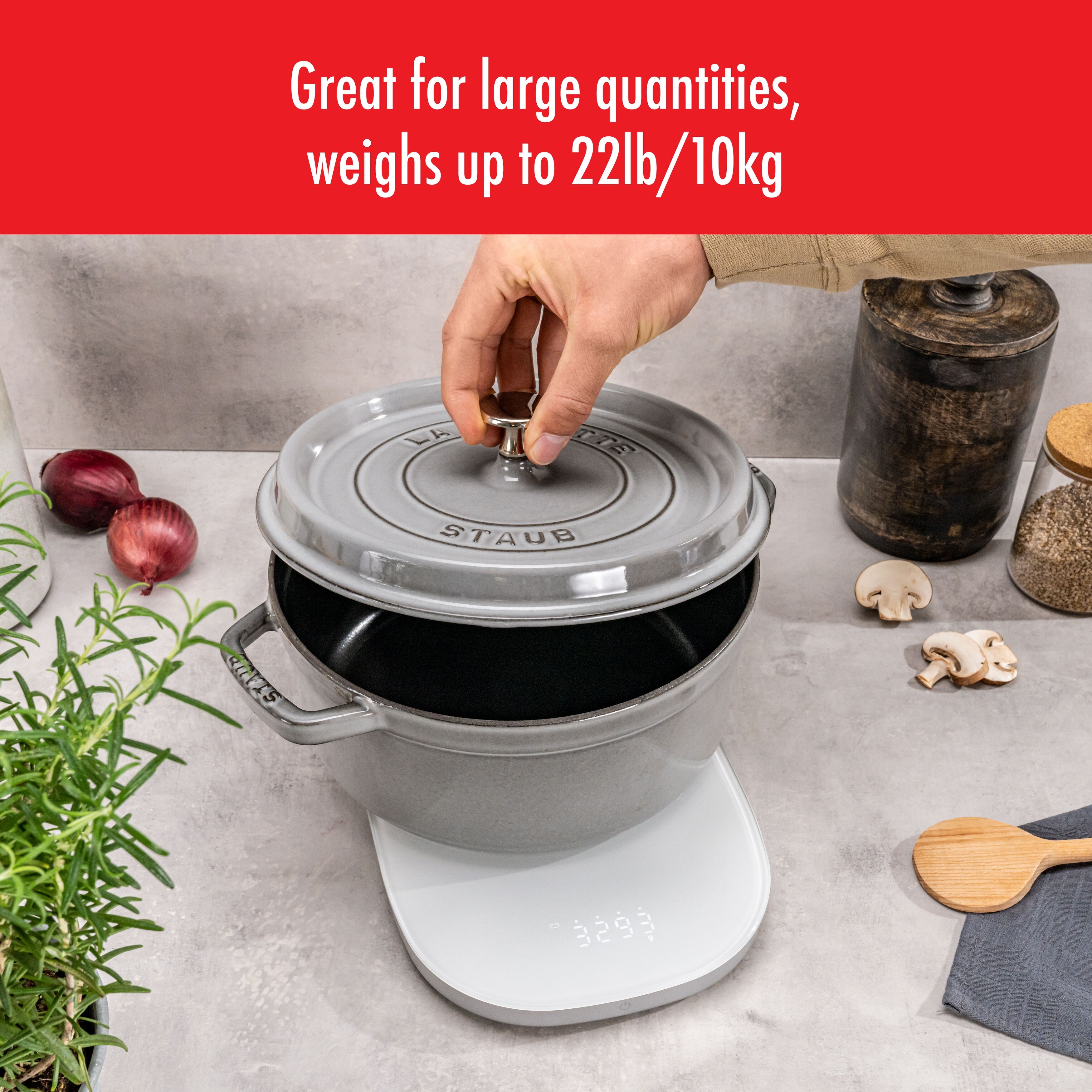 ZWILLING Enfinigy Digital Scales