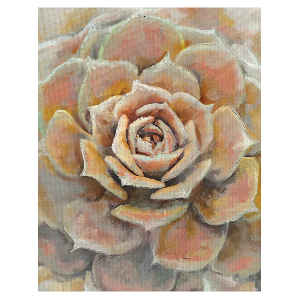 Desert Bloom by Studio Arts Canvas Art Print