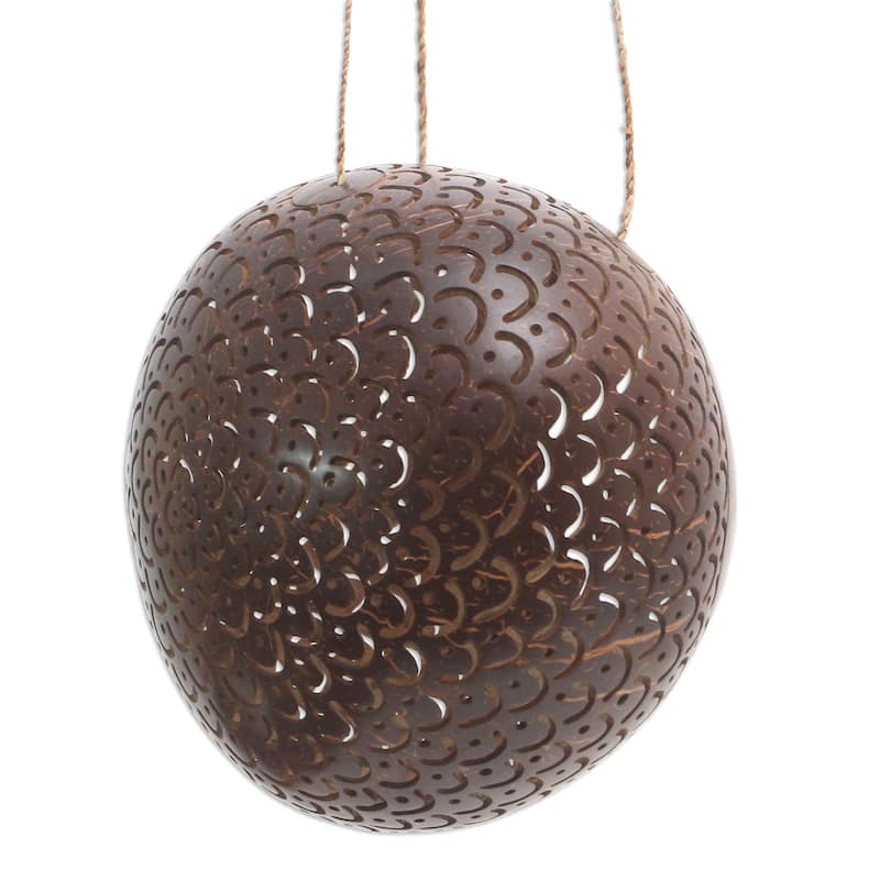 Novica Handmade Sea Scales Coconut Shell Birdhouse