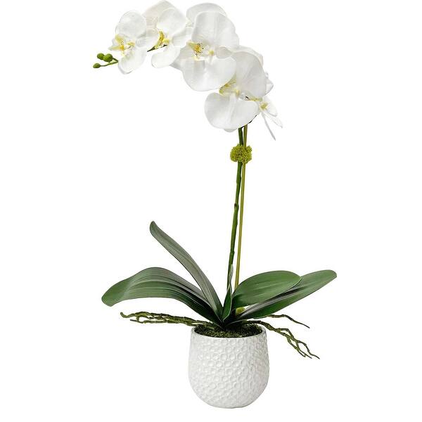 slide 2 of 4, Uttermost Cami White Orchid