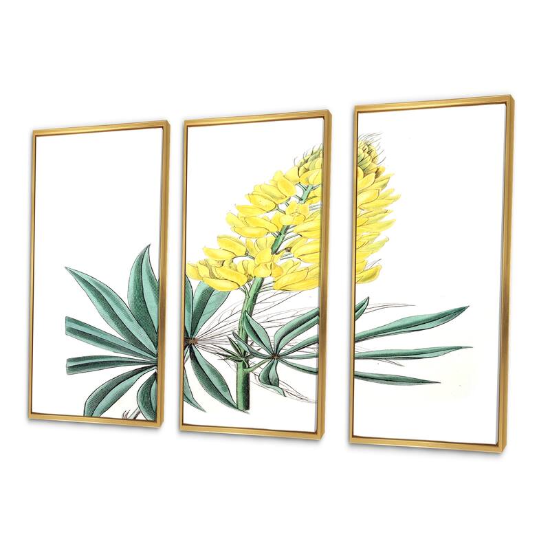 Designart "Vintage Yellow Flower I" Traditional Framed Art Set of 3 4