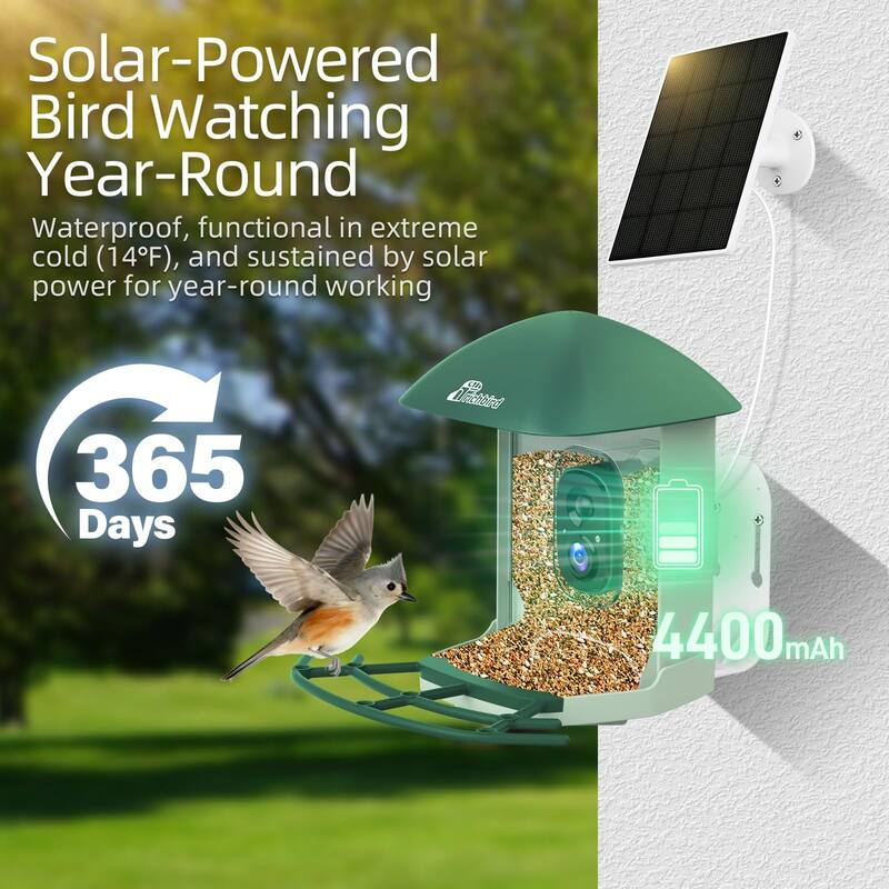 Smart Solar Bird Feeder with Camera and Interactive App