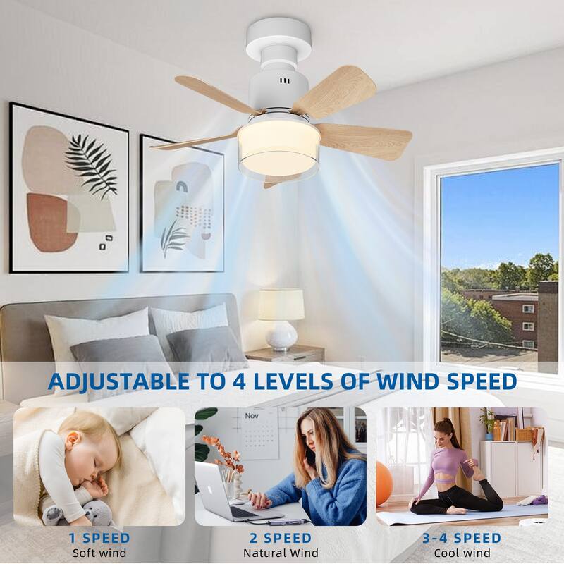 17.7 in. Indoor Socket Ceiling Fan Light with Remote, LED Light, 4 Fan Speeds, Dimmable, 3 Color Temperatures