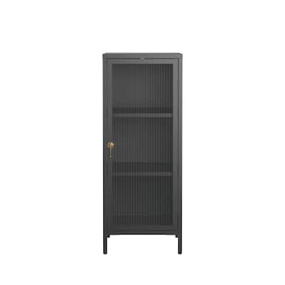 Benoite 40.02-inch Black One Door Metal Storage Cabinet with Fluted Clear Door and Gold Handle - 40.02