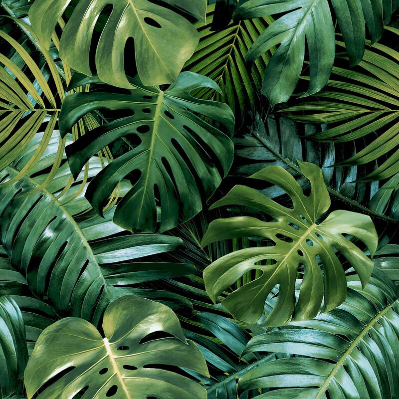 Arthouse Harlynn Green Monstera Wallpaper