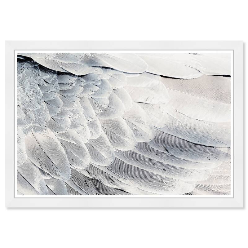 Wynwood Studio Prints Animals Dove Back White and Modern & Contemporary Wall Art Canvas Print