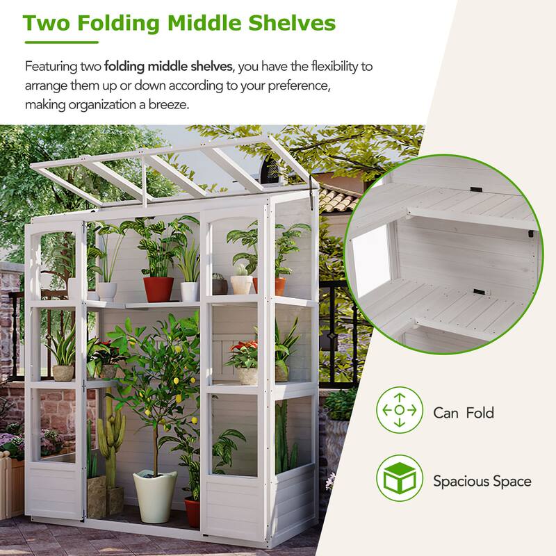 Roomfitters 78" Wooden Walk-In Greenhouse with 4 Skylights and 2 Folding Shelves