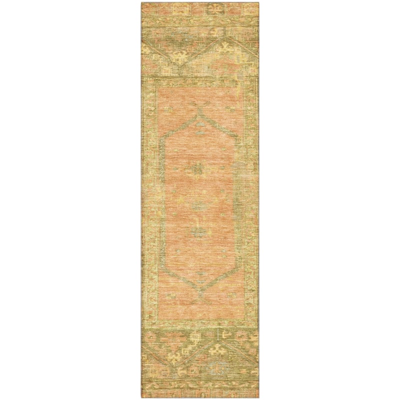 Premium Washable Super Soft Traditional Global Mayfield Rug