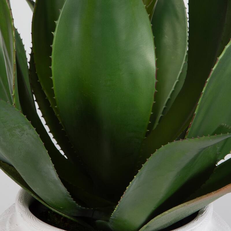 Agave Artificial Floral Arrangements with Ceramic Vase - 24" - Green and Cream