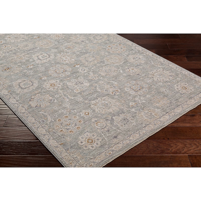 Artistic Weavers Pashe Vintage Distressed Area Rug