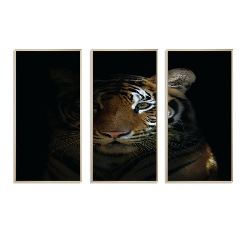 Designart "Bengal tiger head in the dark" Animal Framed Canvas Wall Art