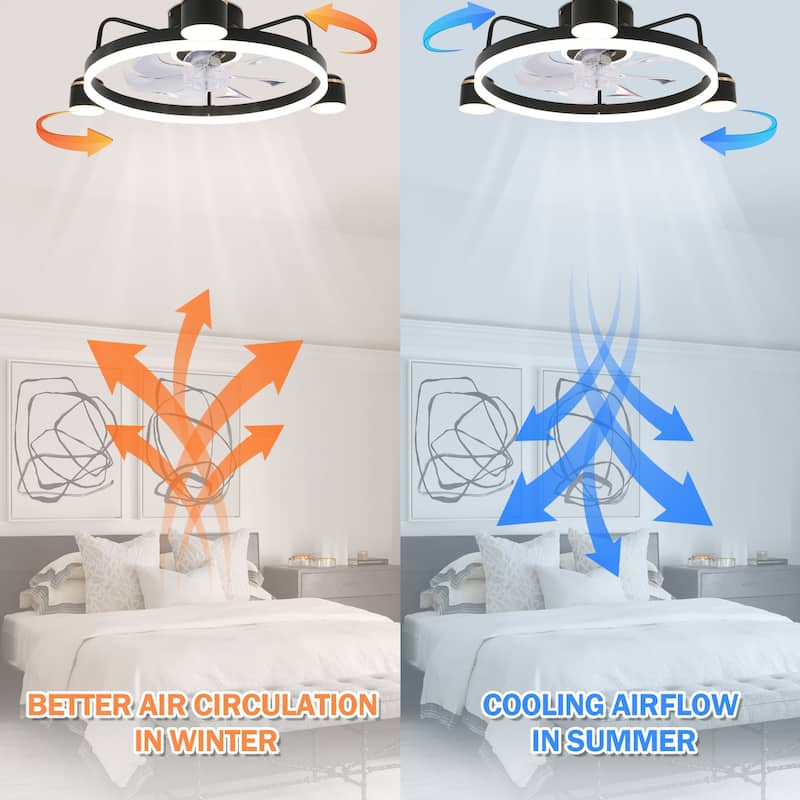 Curve Curio 3 Color Tone and 6 Fan Speed Ceiling Fan, App Control and Remote Control for Bedroom, Living Room and Dining Area