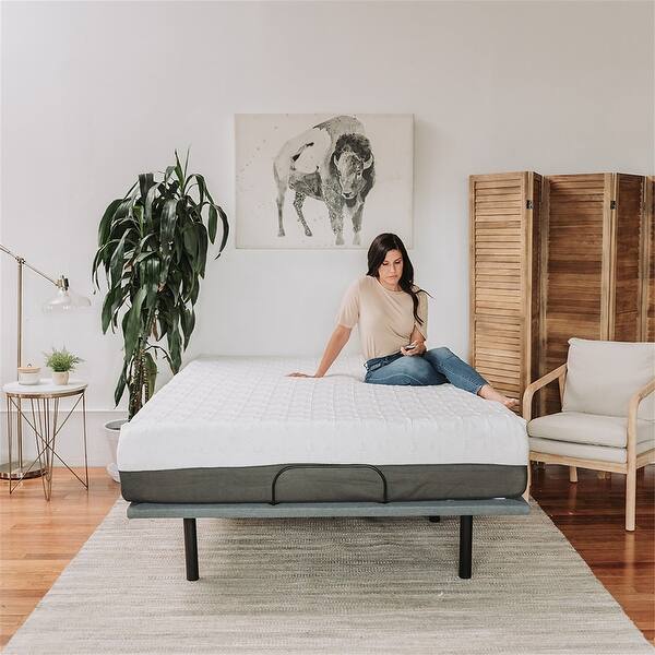 Twin XL Adjustable Bed Base With Head and Foot Position Adjustments Bed Bath & Beyond 36792911