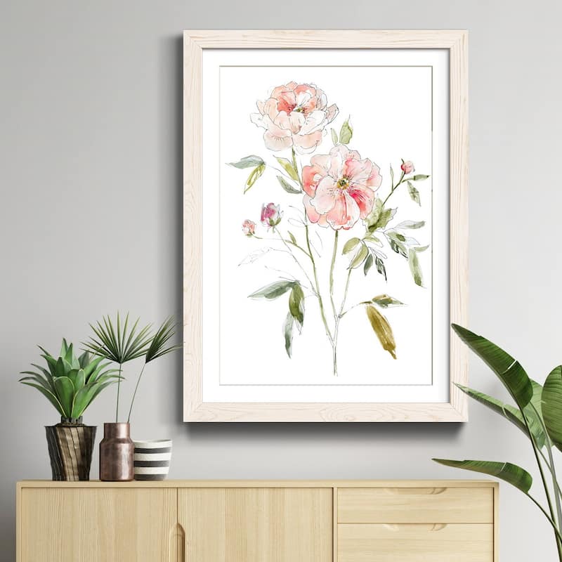 Sketchbook Cottage Rose I-Premium Framed Print - Ready to Hang