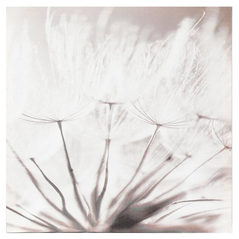 Dandelion Gallery-Wrapped Canvas Prints with Lights (Set of 3)