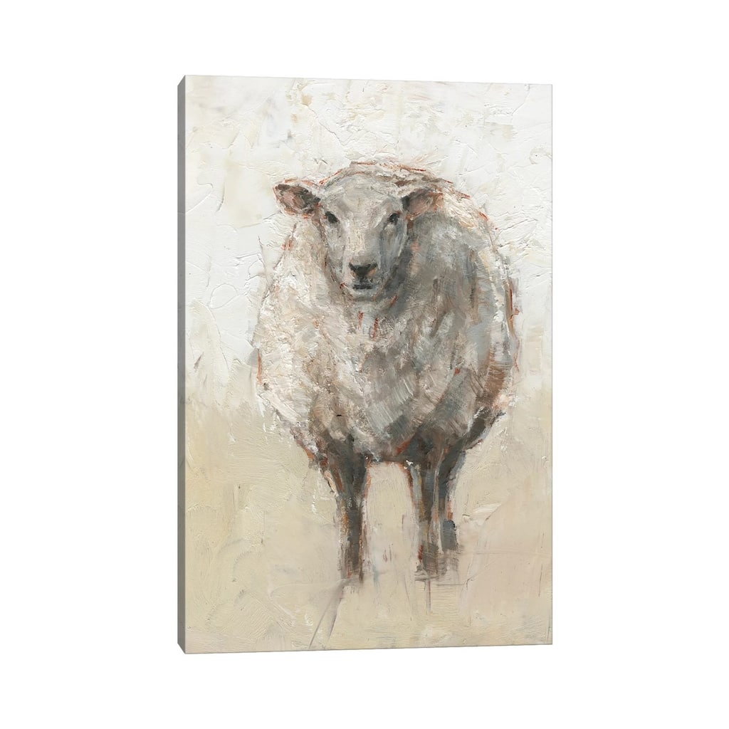 iCanvas "Fluffy Sheep I" by Ethan Harper Canvas Print