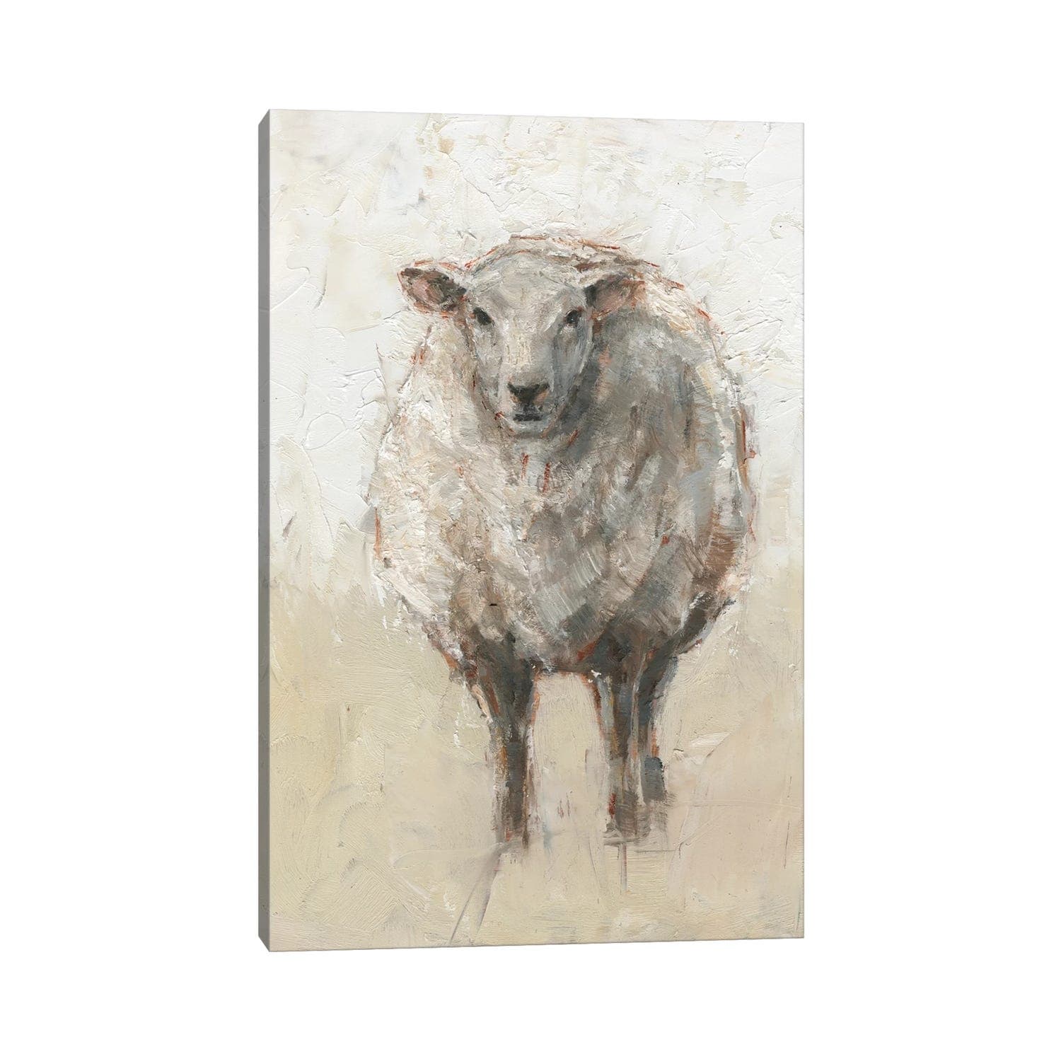 iCanvas "Fluffy Sheep I" by Ethan Harper Canvas Print