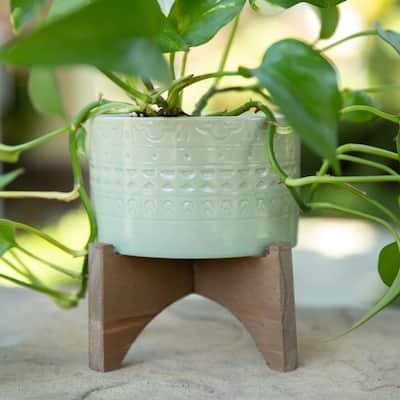 Mid-Century 5" Mayan Ceramic Planter on Wood Stand,Matte Sage