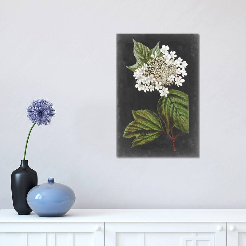 iCanvas "Dramatic White Flowers III" by Vision Studio Canvas Print - 18x12x1.5