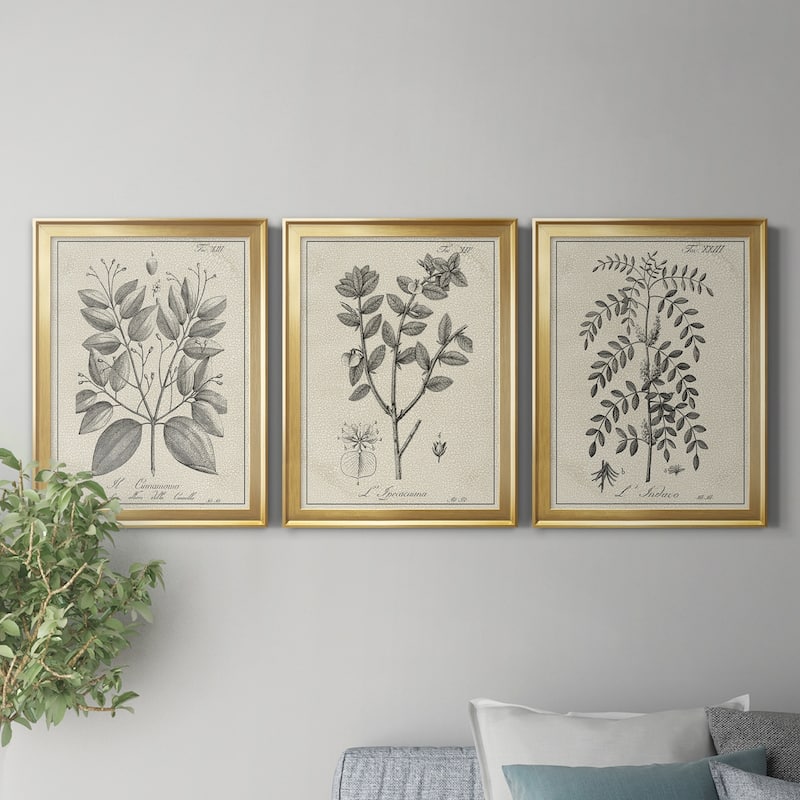 Antique Black & White Botanical VII Premium Framed Canvas - Ready to Hang - Multi-Color