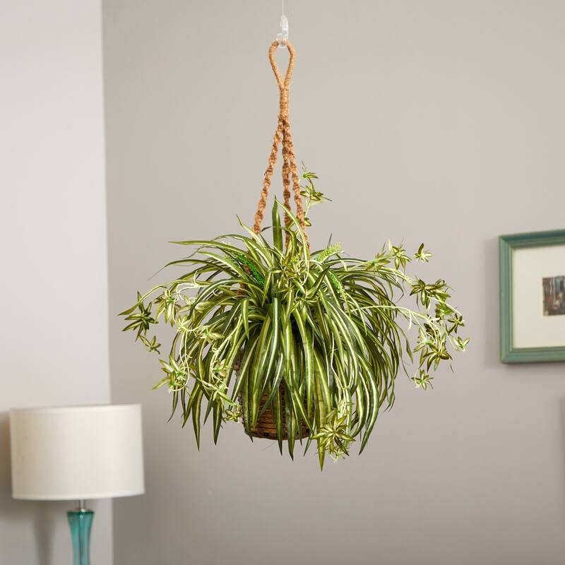 Hanging Plant Basket - Classic Comfort Design - Indoor Flower Pot - Decorative Home Accent - Stylish Room Decor