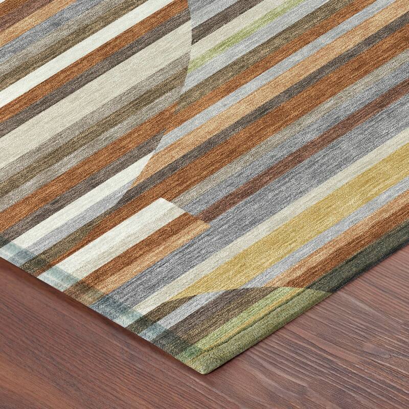 Machine Washable Indoor/ Outdoor Modern Cokedale Chantille Rug