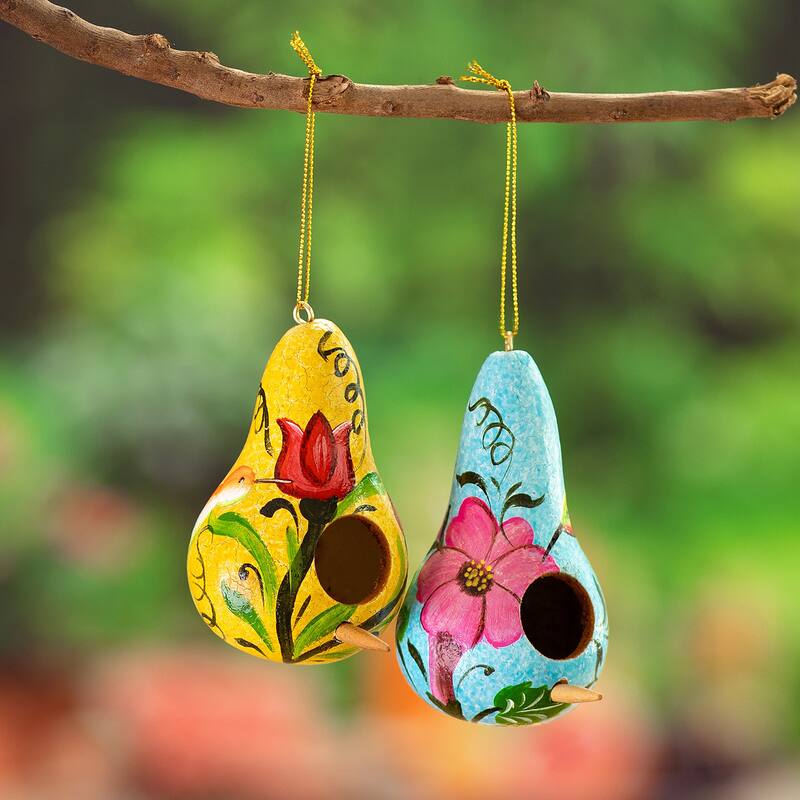 Novica Handmade Summer Homes Dried Gourd Ornaments (Set Of 2)