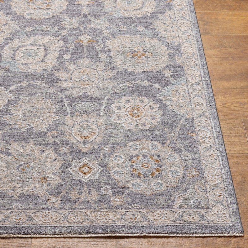 Artistic Weavers Pashe Vintage Distressed Area Rug