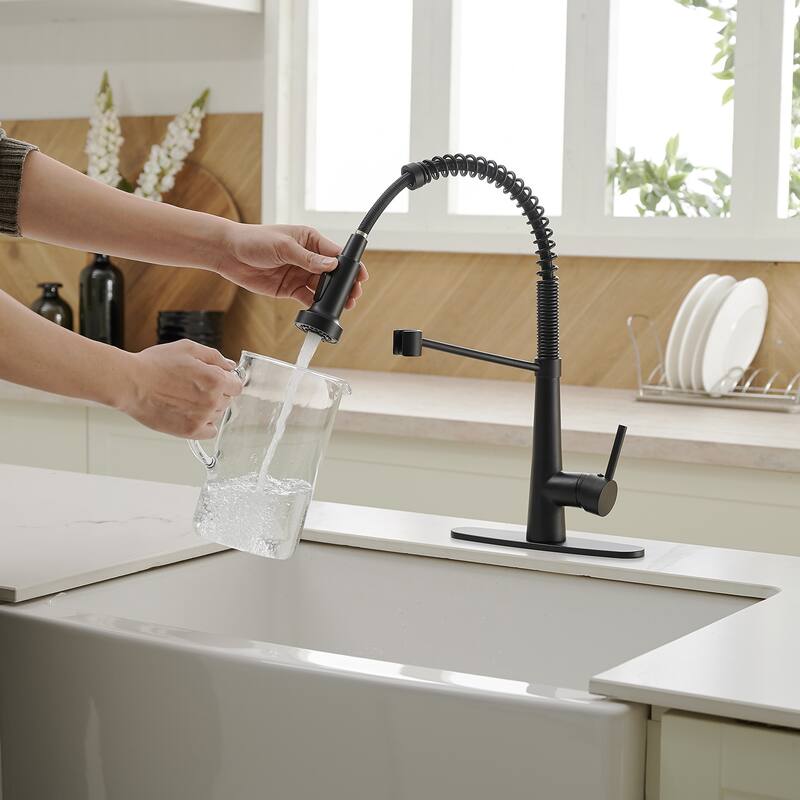 WIZ Pull-Down Sprayer 2 Spray High Arc Kitchen Faucet