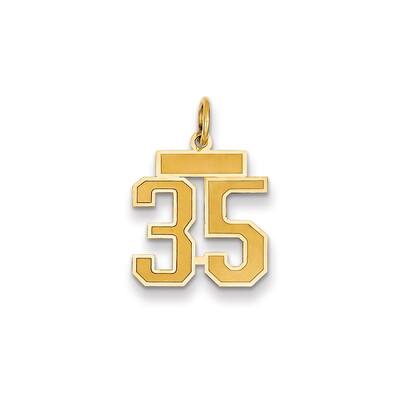 14k Yellow Gold Small Satin Number 35 Charm